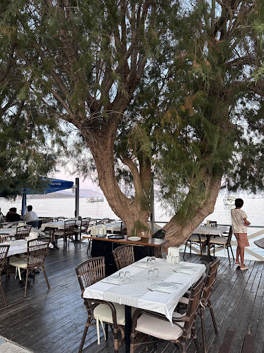 Büşra Özdemir tarafından paylaşılan fotoğrafın büyük halini gör